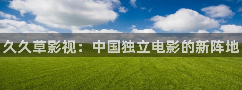 极速影院在线免费观看电视剧：久久草影视：中国独立电影的新阵地