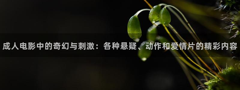 神马极速影院电影：成人电影中的奇幻与刺激：各种悬疑、动作和爱情片的精彩内容