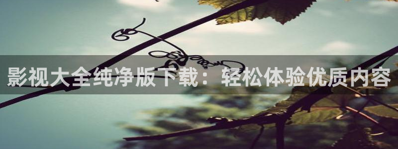 极速影院高清电影在线观看：影视大全纯净版下载：轻松体验优质内容