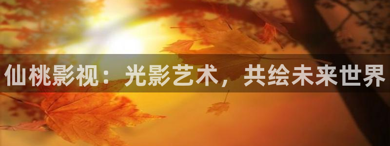 飞极速影院在线观看：仙桃影视：光影艺术，共绘未来世界