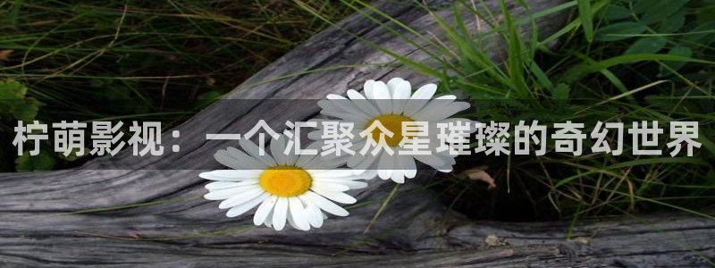 全极速影院：柠萌影视：一个汇聚众星璀璨的奇幻世界