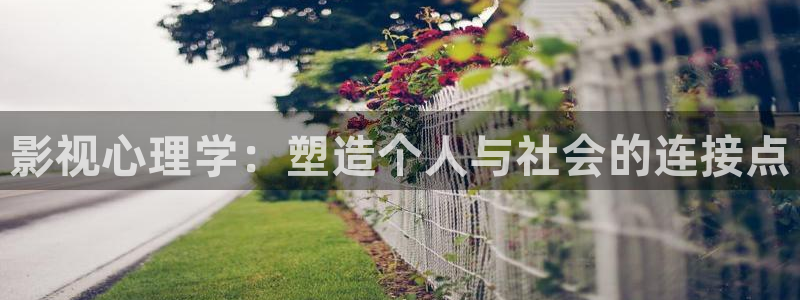 极速影院免费：影视心理学：塑造个人与社会的连接点