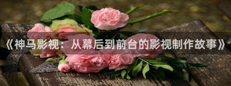 下载极速影院最新版：《神马影视：从幕后到前台的影视制作故事》