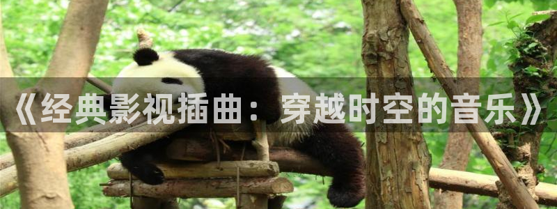 手机极速影院：《经典影视插曲：穿越时空的音乐》
